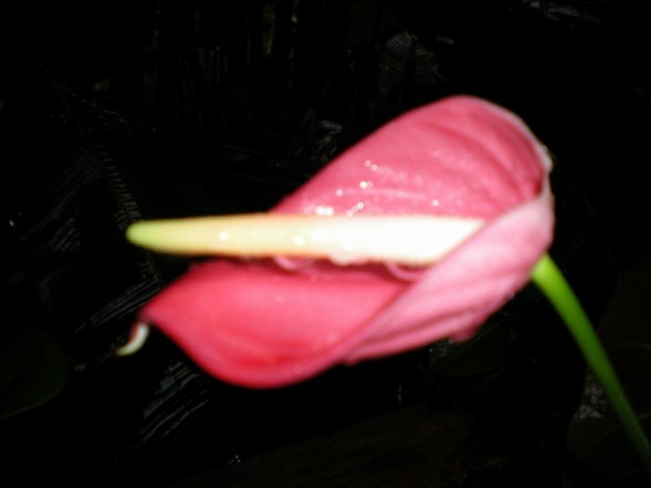 6828704_3.jpg