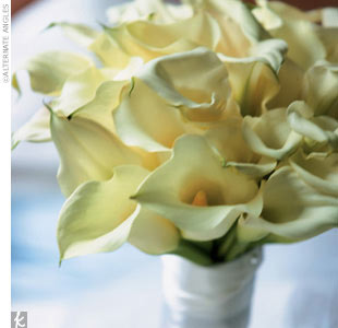 7090198_3.jpg