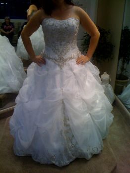 7817750_1.jpg