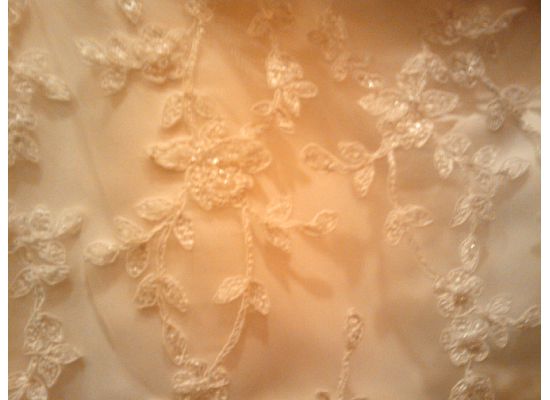 7821332_4.jpg