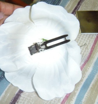 7855536_4.jpg
