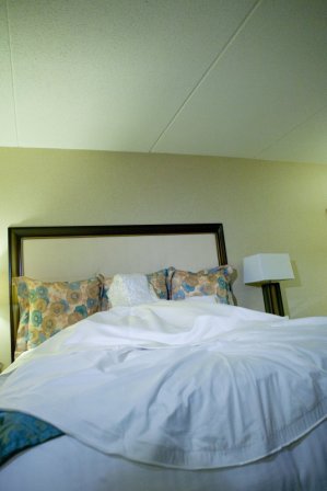 8016459_1.jpg
