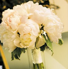 8337447_1.jpg