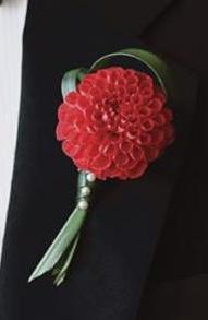 8830229_1.jpg