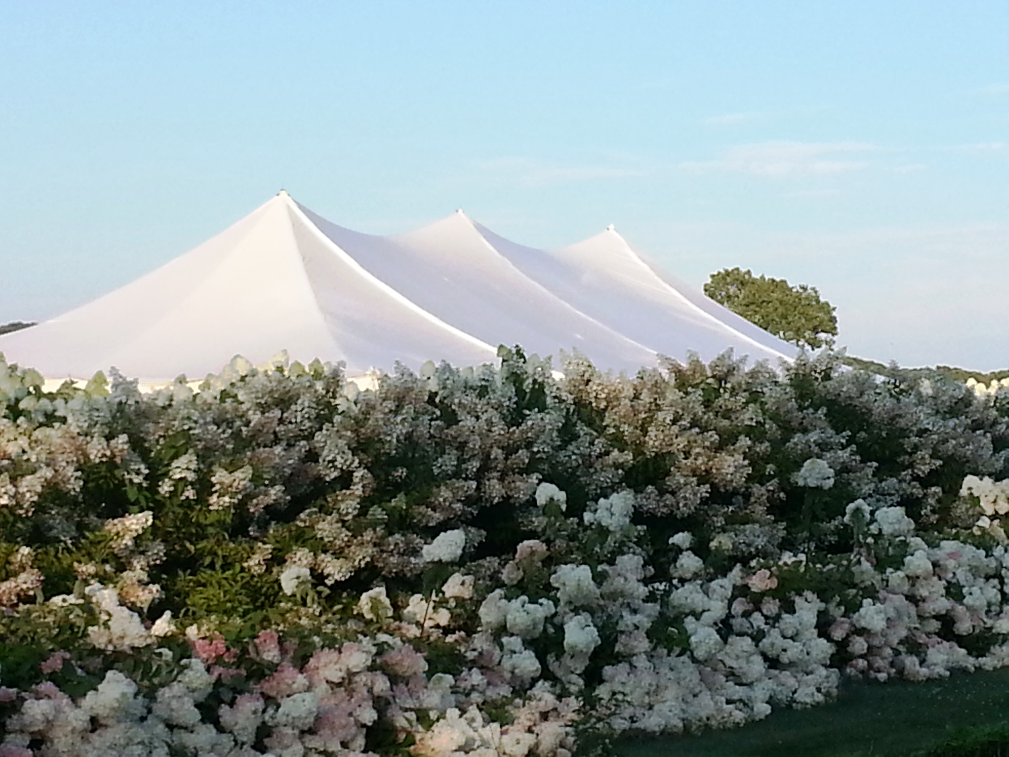Camelot Party Rentals