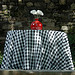 Camelot Party Rentals
