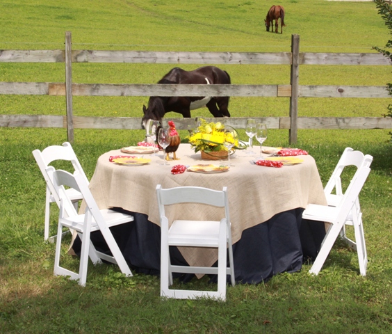 Camelot Party Rentals