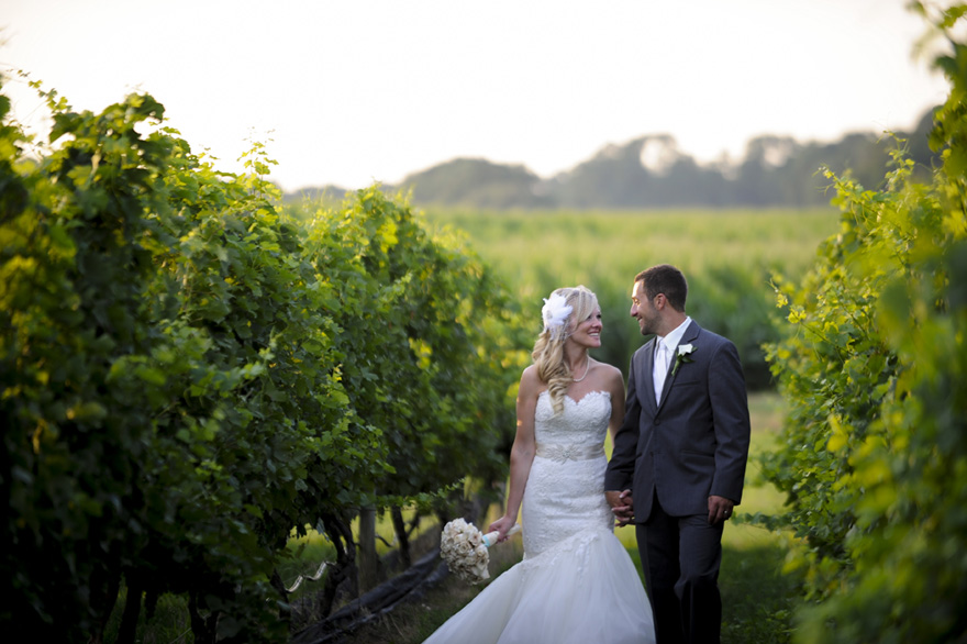 The Vineyards