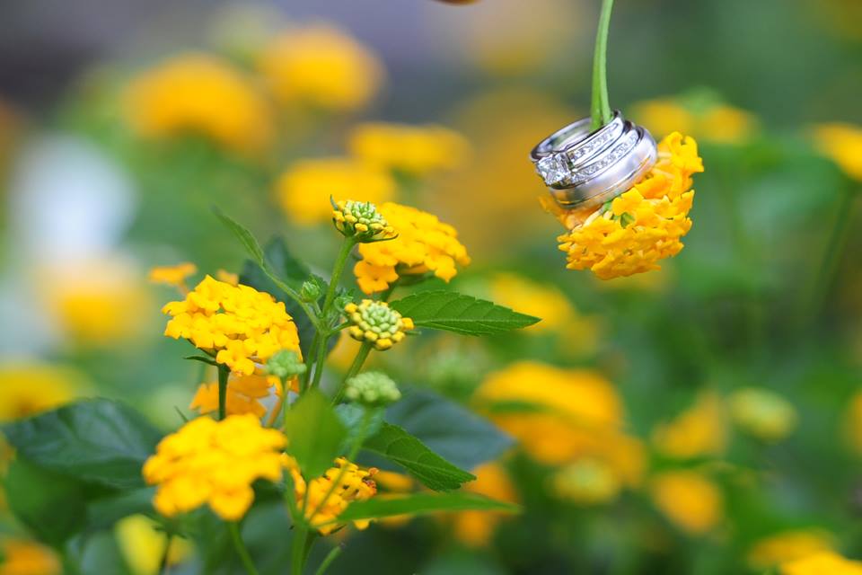 Ken Hild Photography
