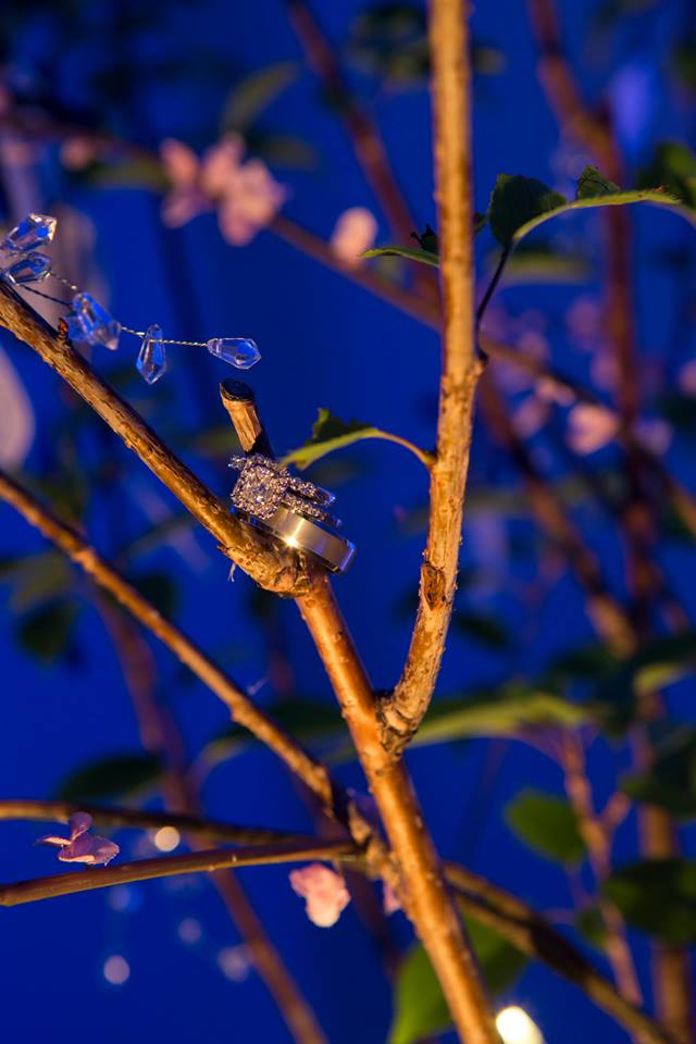 Ken Hild Photography