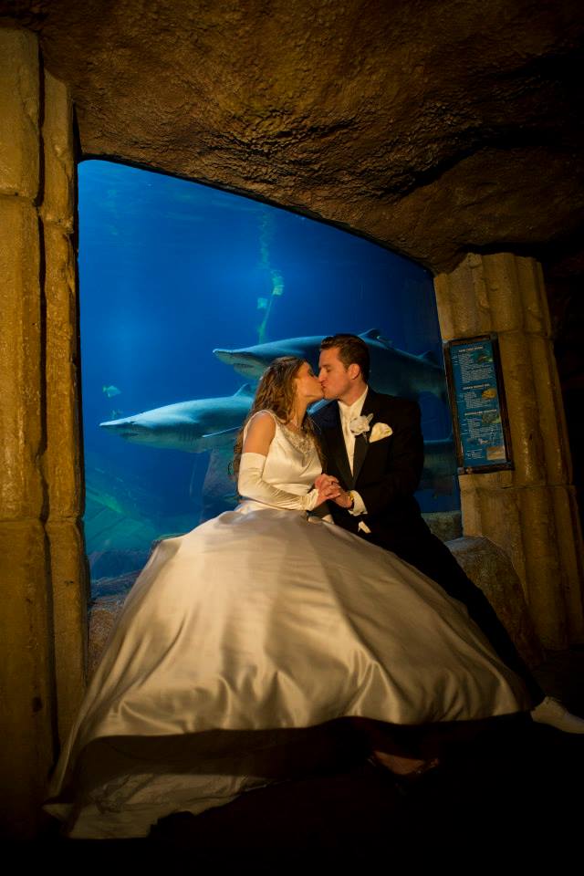 Ken Hild Photography