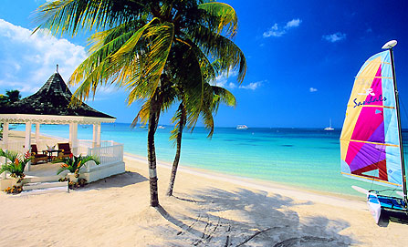 Island Shores Travel