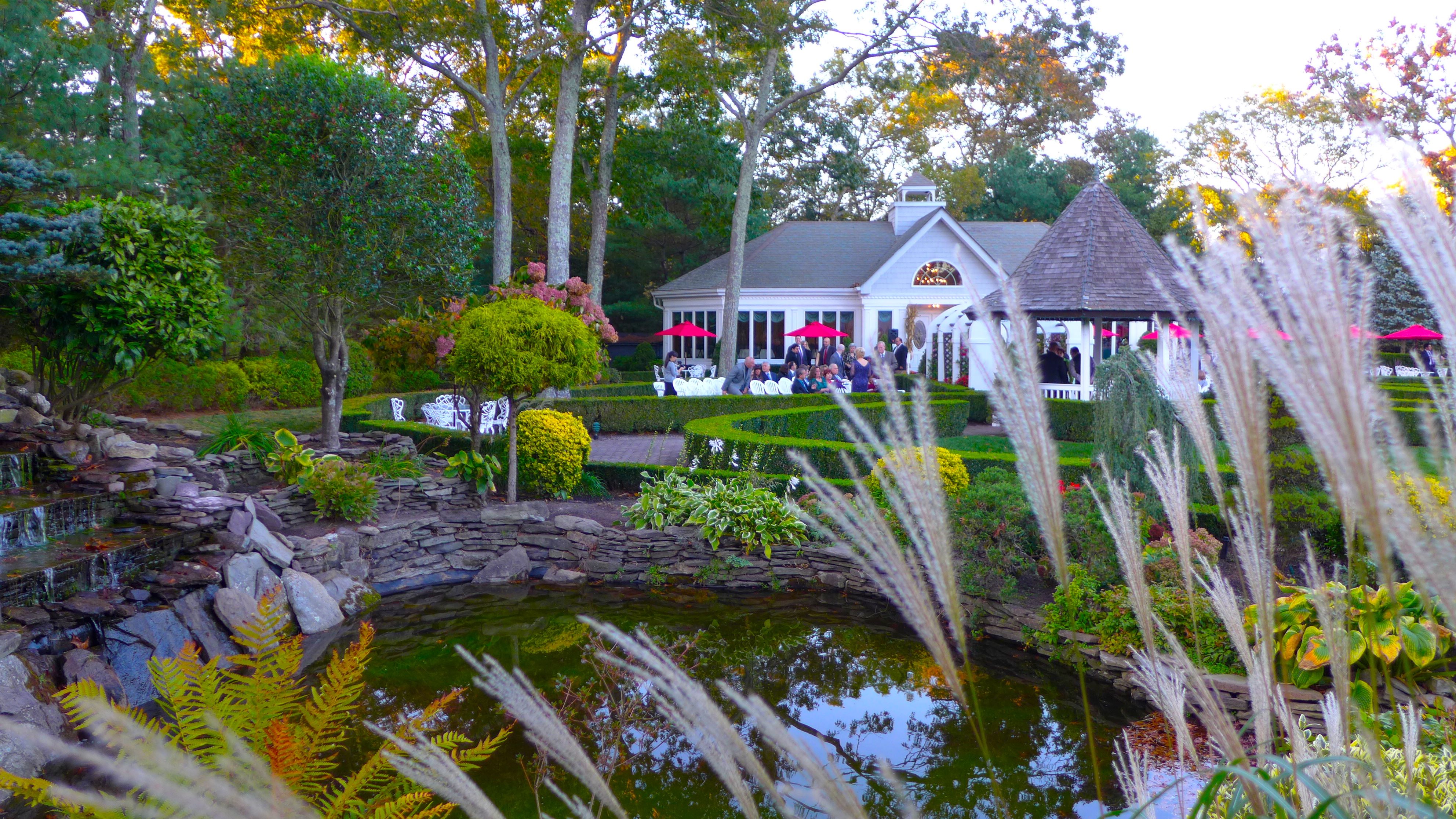 The Vineyard
