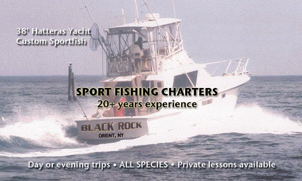 Yachts For All Seasons