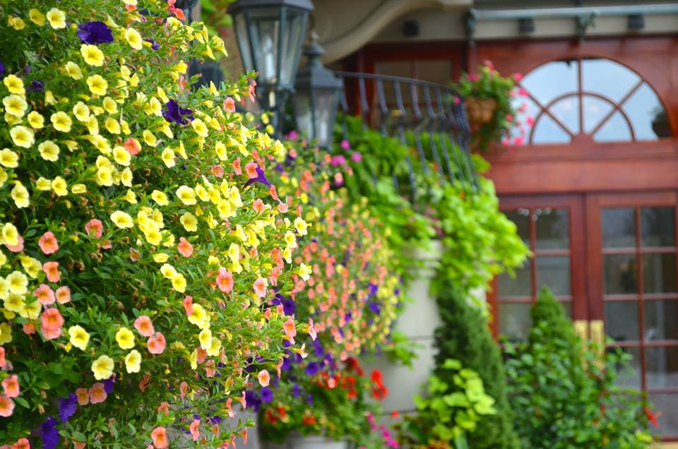 Jericho Terrace
