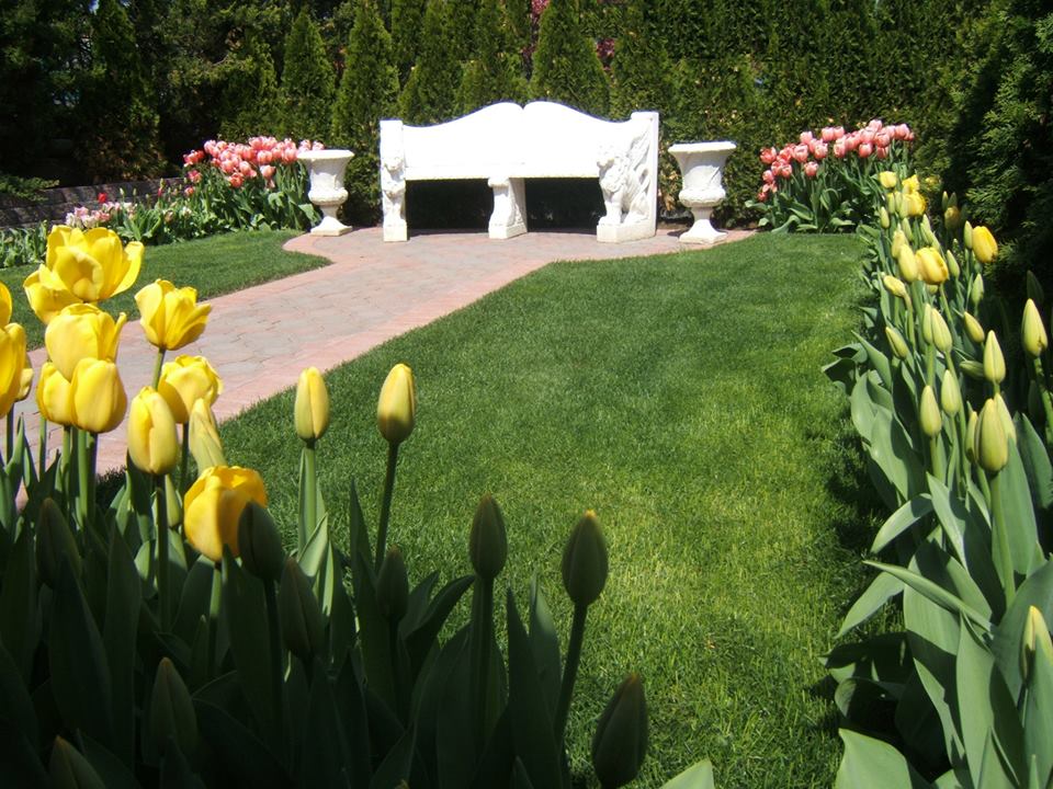 Jericho Terrace