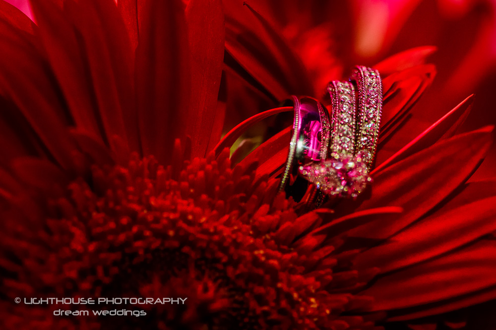 Christie and Anthony - Real Weddings Long Island, NY