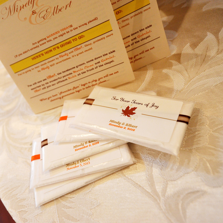 Mindy and Elbert - Real Weddings Long Island, NY