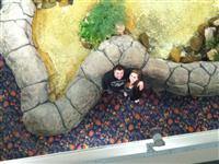 Christine Runkel and Christian Zambito
