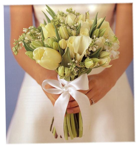LIbride77