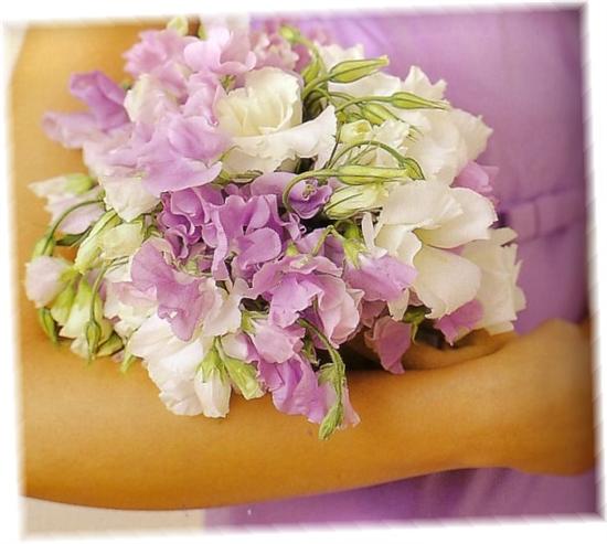 LIbride77