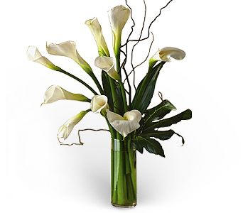 Isbac
