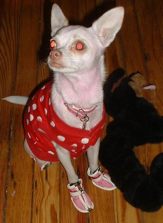lolita4life