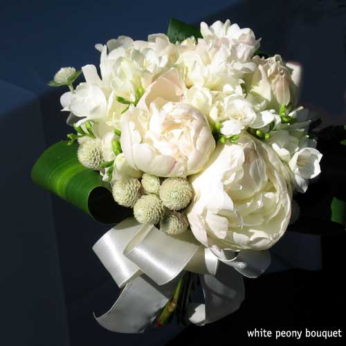 portjeffbride