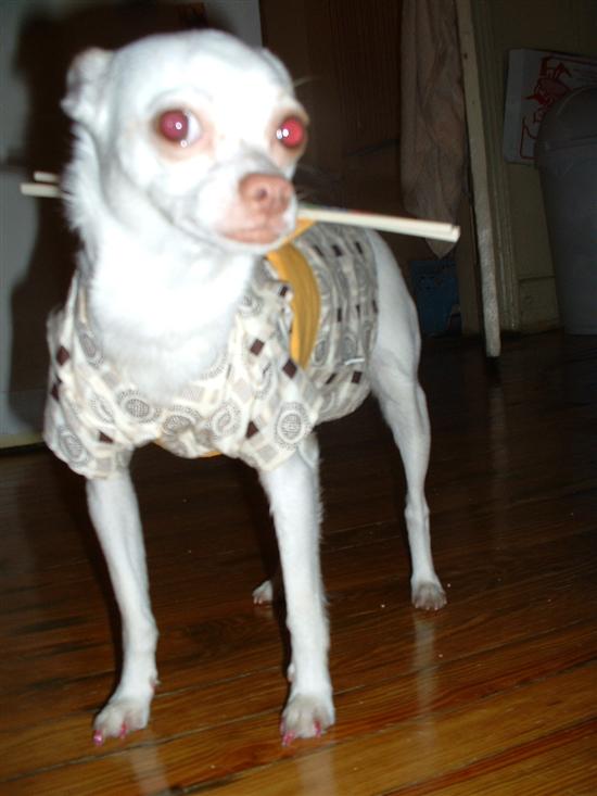 lolita4life