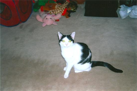 Marly