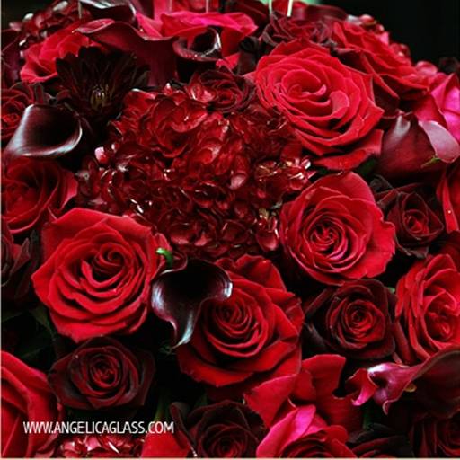 NovemberBride07