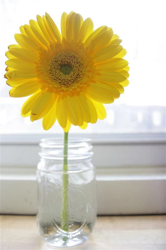 myslideshow
