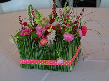 myslideshow