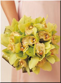 olechka1911
