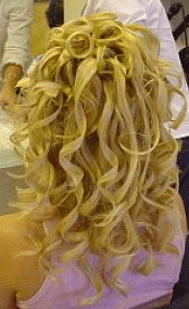 Dnn518