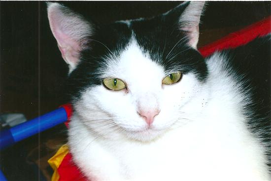 Marly
