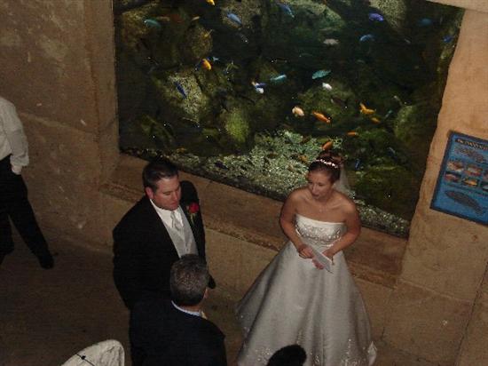 NovemberBride06