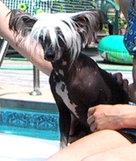 lolita4life