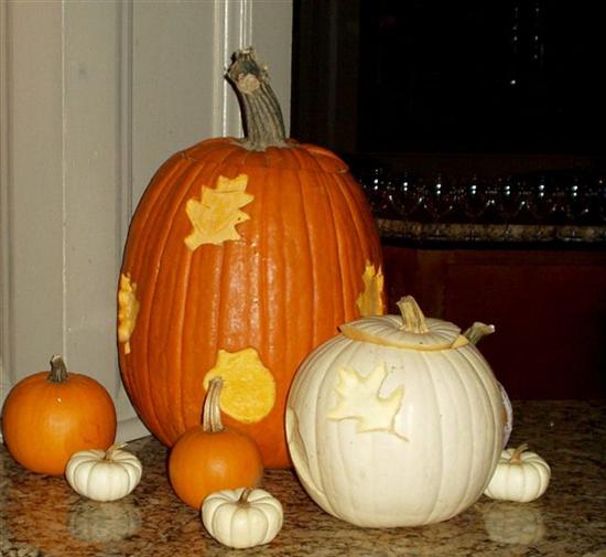 Autumn08