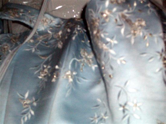 BrideInBlue