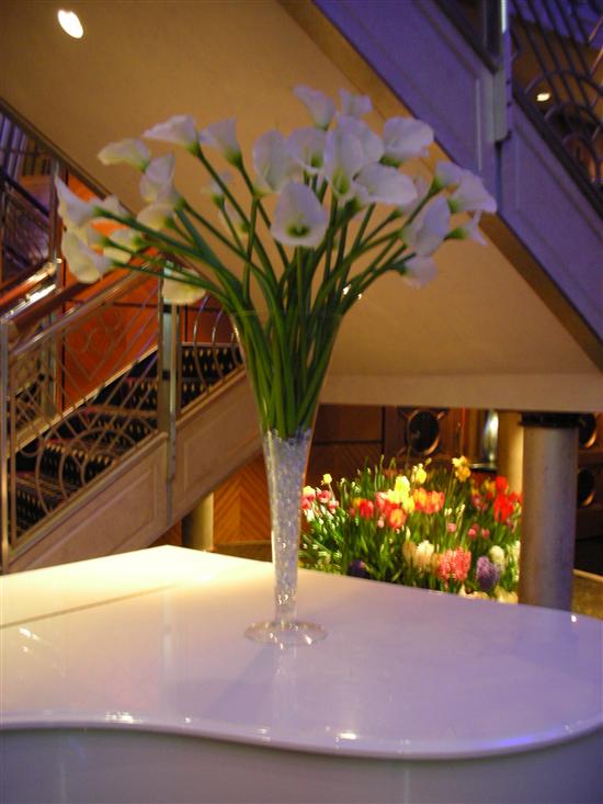 MrsQ-in2007