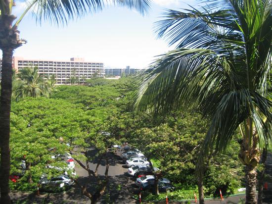 Noonie