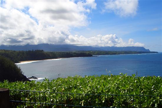 JldDolphin