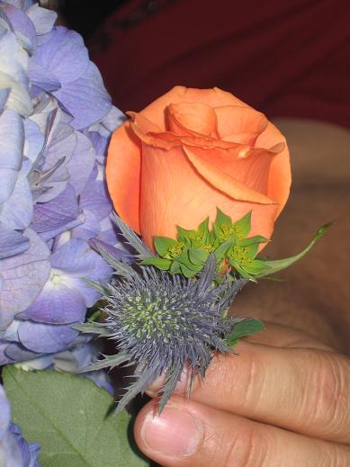 weddingbunny