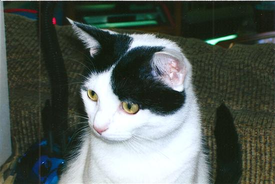 Marly