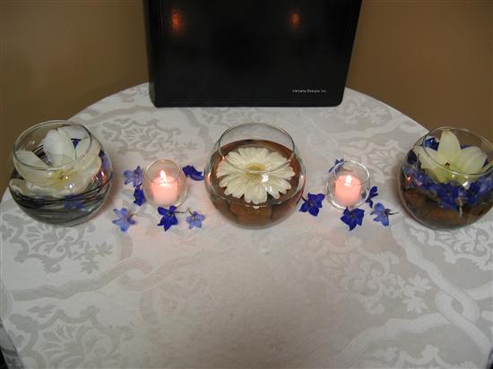 KickinDandelions