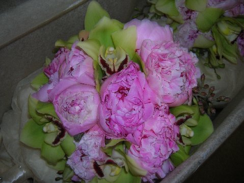 AMJA