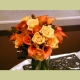deborahjean21481