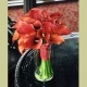 deborahjean21481