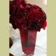 deborahjean21481